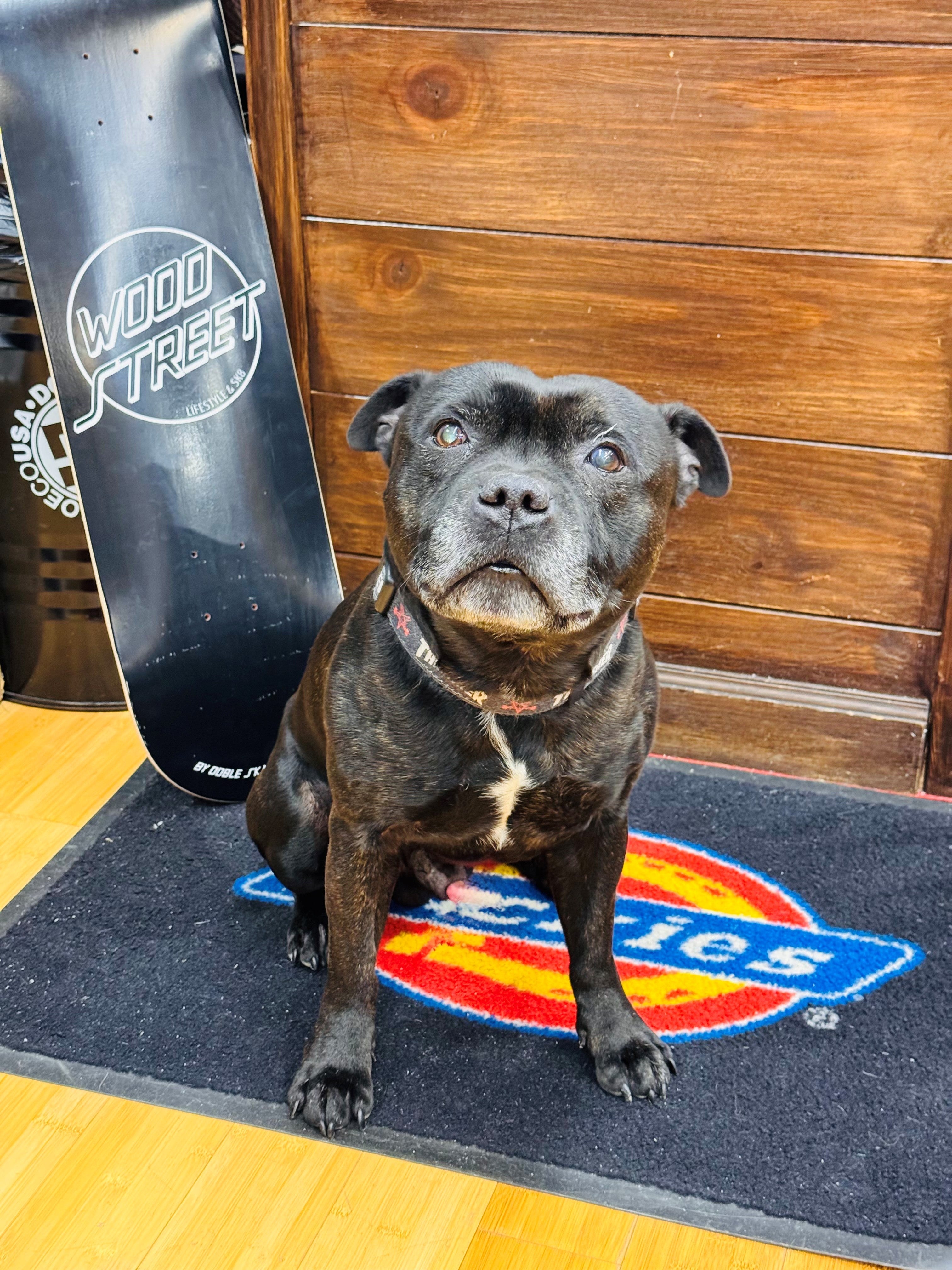 Happy Birthday Hoppie