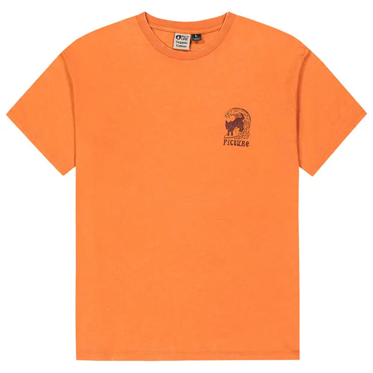 T-shirt Picture picturide