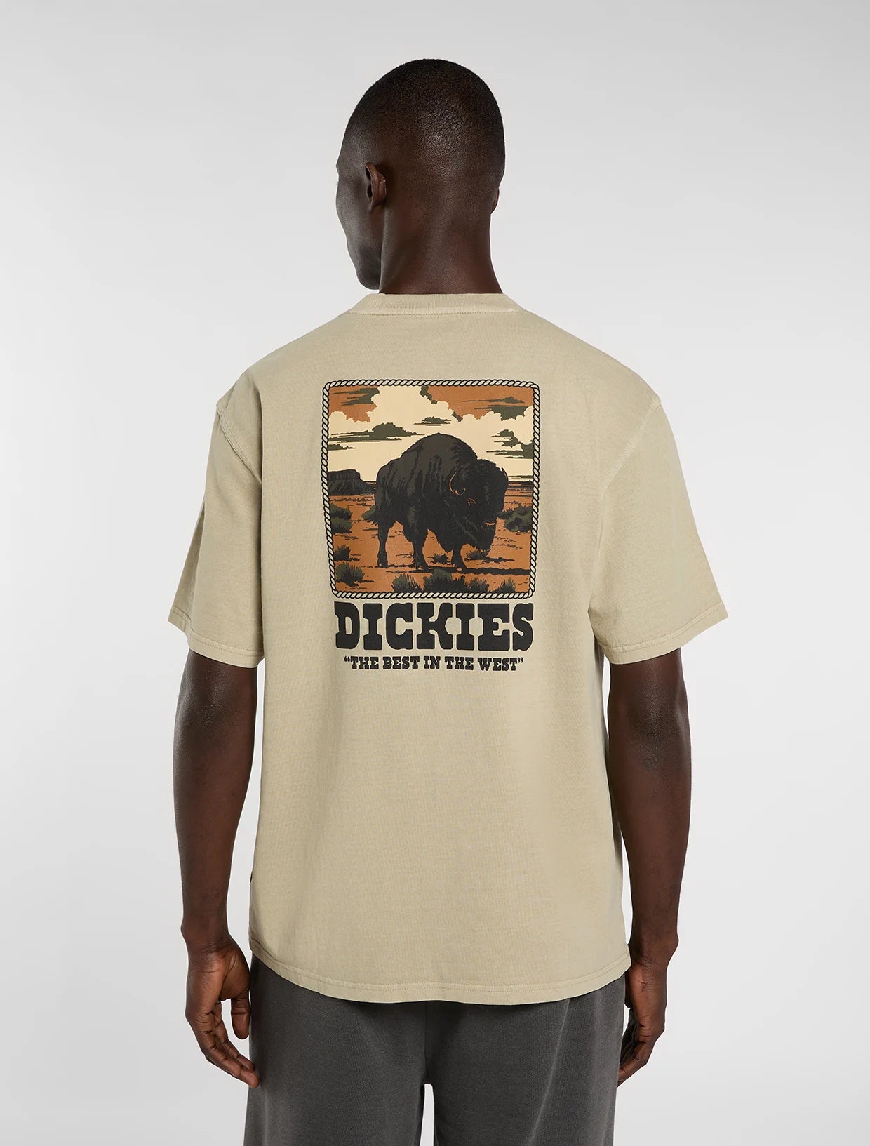 T-SHIRT DARRTOWN EUCALYPTUS