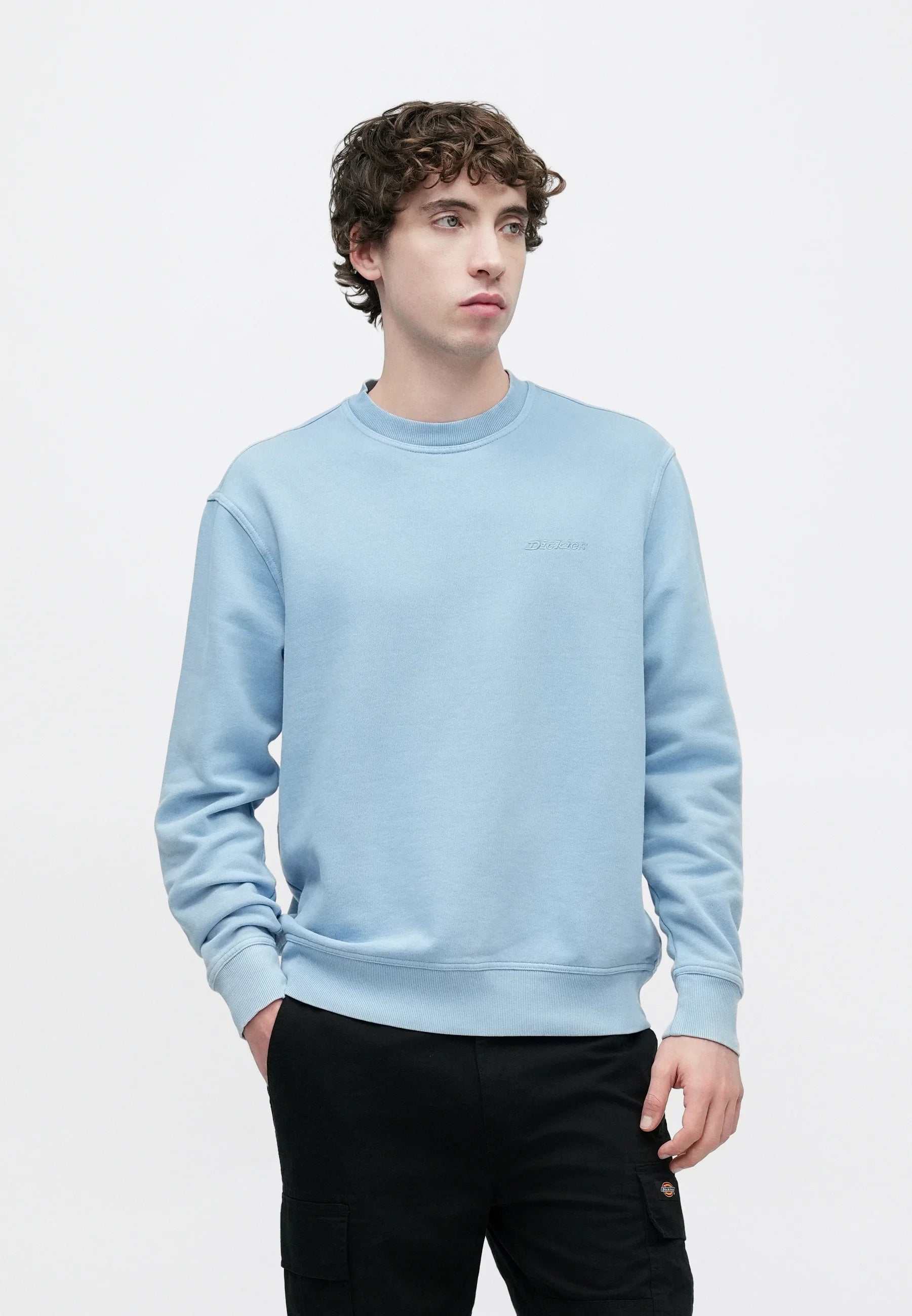 Sweatshirt DICKIES PLENTYWOOD Endless Sky